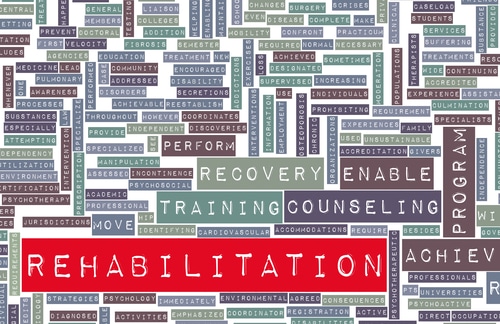 Rehabilitation Counseling Degrees