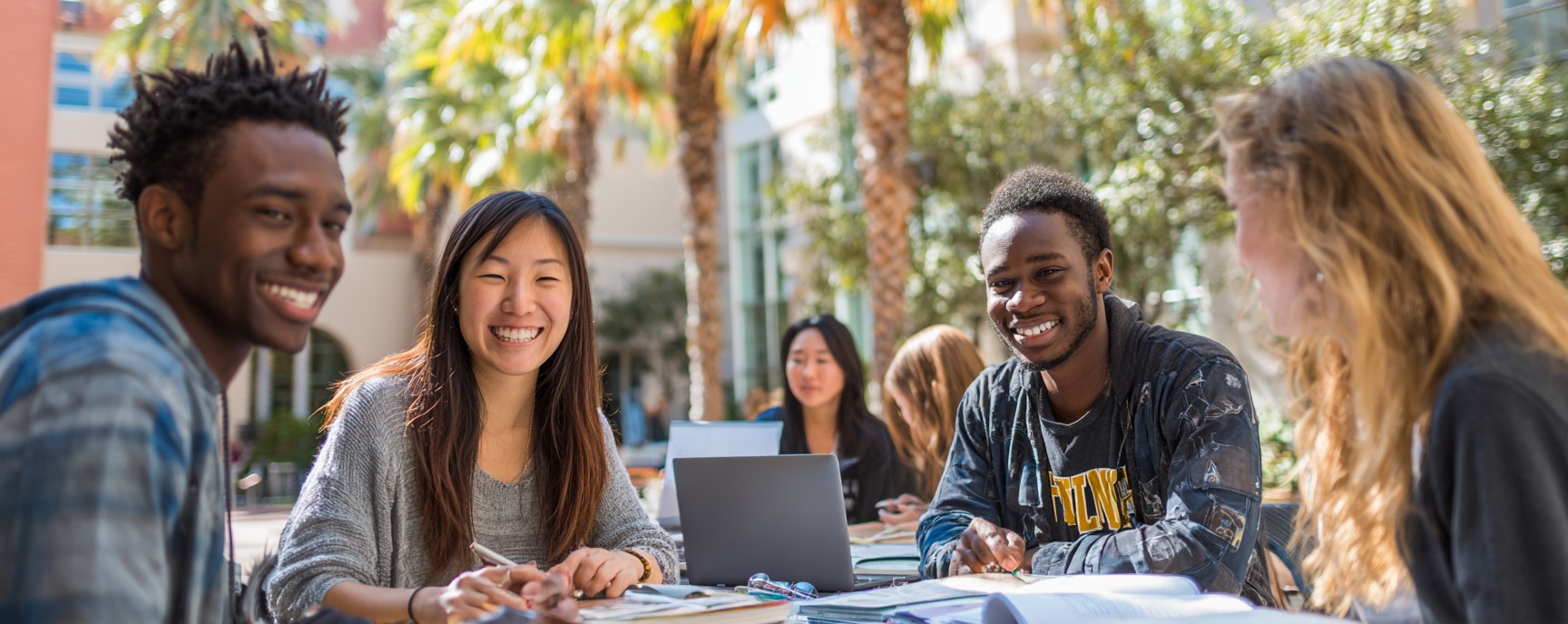 Diverse group of college students studying together outdoors on a sunny campus courtyard, collaborating with laptops and textbooks under palm trees.
